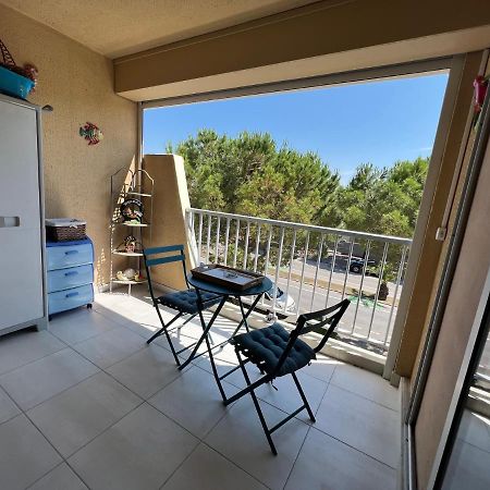 Plage Studio 5 Personnes St Cyprien 66750 생시프리앙 외부 사진